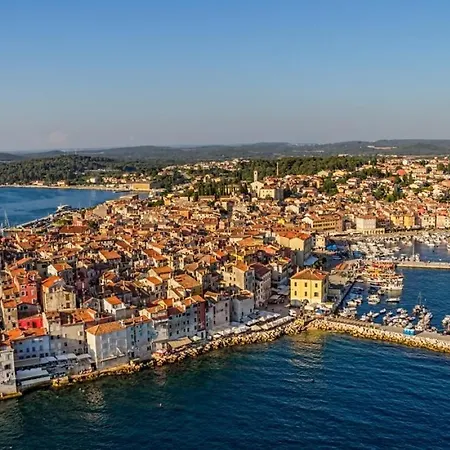 Antheas I Floki Rovinj